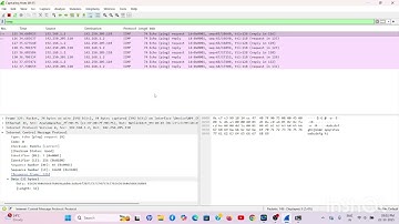 Icmp Echo (ping) messages 