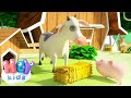 A Vaca Maru 🐮 Desenho infantil musical - HeyKids Português