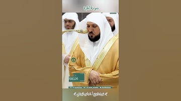 تلاوة خاشعة 🕊 سورة البقرة  🌿  #_للشيخ أ.د #ماهر بن حمد #المعيقلي الليلة 2 #رمضان1446_2025
