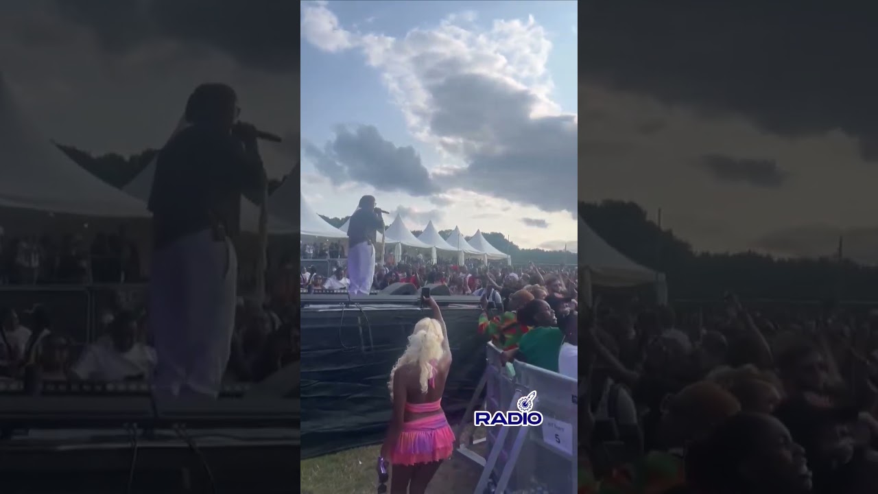 Nisha Ts live Performance at Zimfest in Uk 