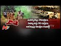 Telangana police plan to curb maoists