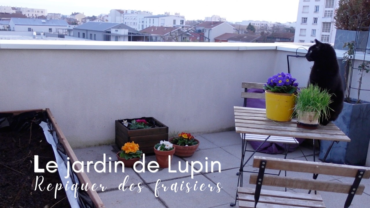 Rénovation d'une jardinière en bois 🪵 - EP3 