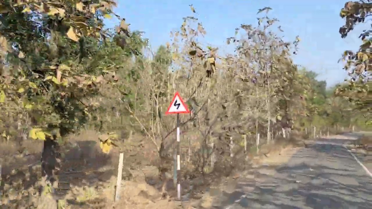 Exciting travel in Gunjara region ,Ghats, river valley, tourist place picturesque landscape 🌳🪾🌲