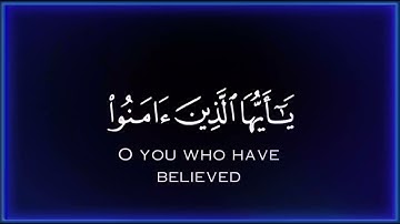 سورة الأحزاب .القارئ شريف مصطفى