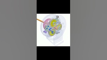 Cơ cấu cơ khí - thiết kế máy #hoccokhi #solidworks #cocaucokhi