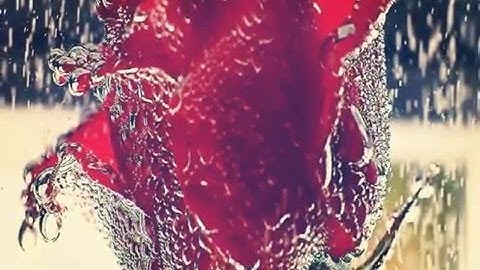 تلاوة خاشعة للشيخ ناصر القطامي سورة الدخان
