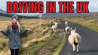 LEARNING TO DRIVE IN THE UK - What you need to know!