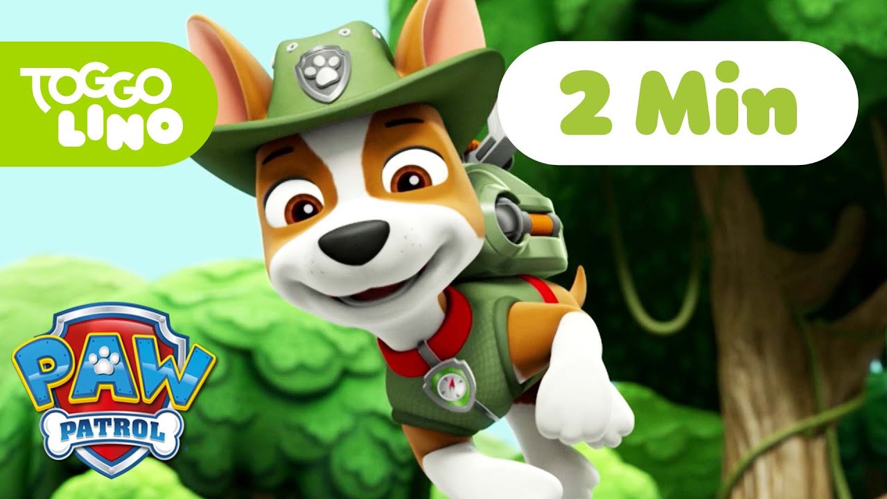 PAW Patrol Deutsch | Ein störrischer Esel | Helfer auf vier Pfoten