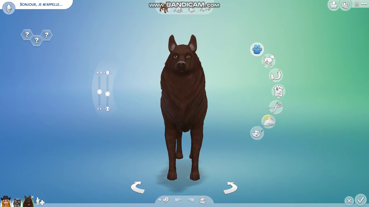 Je Cree Des Animaux Chelous 1 Sims 4 Chien Et Chat
