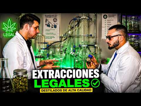 EXTRACTION LAB - Buenos Aires, Argentina