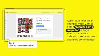 Brand Protection Program | How to report a bundled ad (PDP Flex)