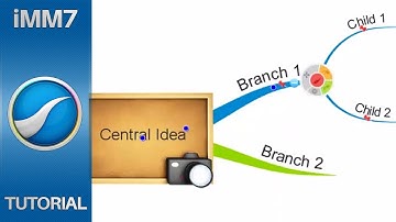 Branch Pinning - iMindMap 7