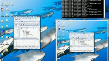 Remote Desktop Viewer, C#  / WCF