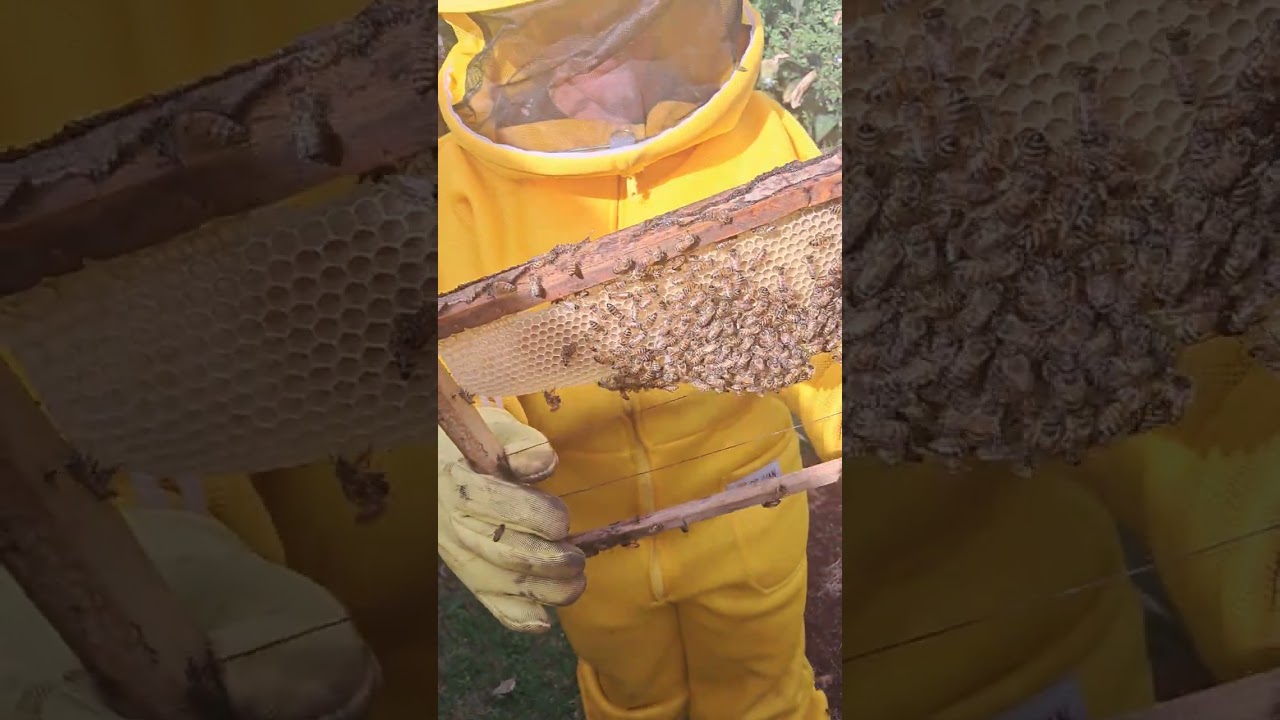 23 de fevereiro de 2026