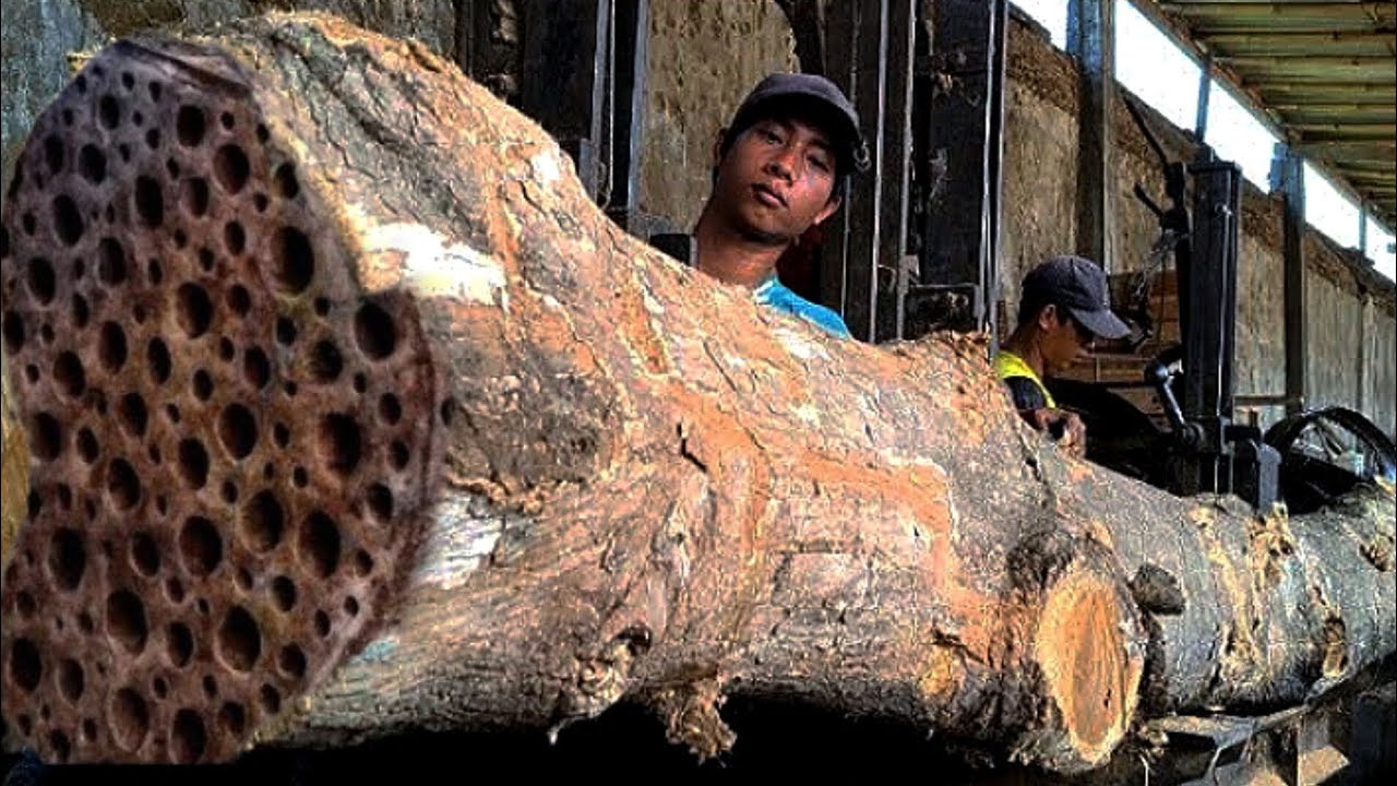 275 seconds before disaster damaged wood in sawmill appear - YouTube