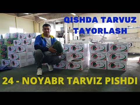 Video: Tarvuzni Qanday Bog'lash Kerak