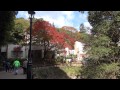 箕面公園紅葉散歩 4K