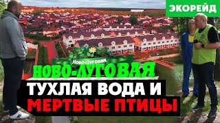 Поселок «Ново-Луговая». Как Отдать 40 Млн Рублей За Надругательство Над Природой. Выезд Экорейда