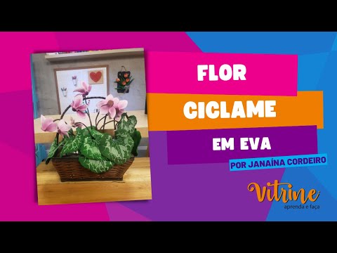Vídeo: Flor de ciclâmen de interior: foto, atendimento domiciliar