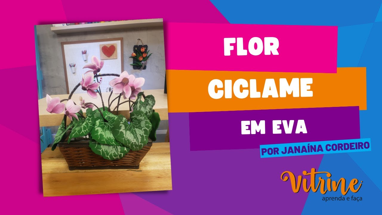 Flor cíclame em #eva - thptnganamst.edu.vn