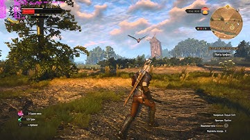 Test Witcher3 Fx-8350 R9 290 16gb ddr3 windows 10