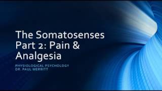 Somatosensation: Pain & Analgesia
Description of pain, pain receptors, pain perception and pain relief through analgesia including discussion of opioid analgesia. Somatosensation: Pain & Analgesia