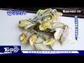 【世界翻轉中】綠色保養大革命! 曇花蓮霧點廢成金 植物修復開啟原料革命｜完整版｜TVBS新聞 @TVBSNEWS01