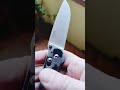Ganzo Firebird FB727S for EDC 👍