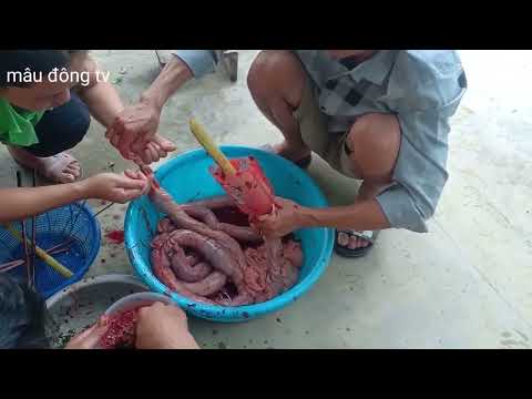 Video Bữa cơm gia đình - youtube
