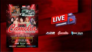 LIVE CAMELIA - HAPPY PARTY  SQUAD RAYAP MALAYSIA FEAT BOLO RUWET | DUNGSARI CLERING DONOROJO JEPARA