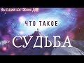 Что такое Судьба?Высший наставник Дед