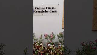 Deeper Christian Life Ministry 21-5-26