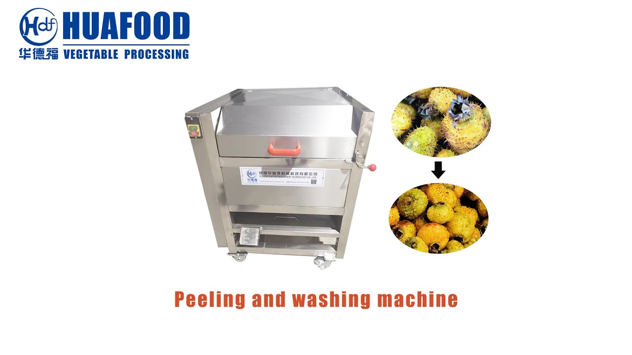 How to remove prickly pears (peeling and washing machine)