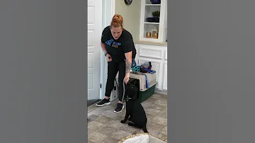 Do THIS Every Morning After You Feed Your Puppy 
