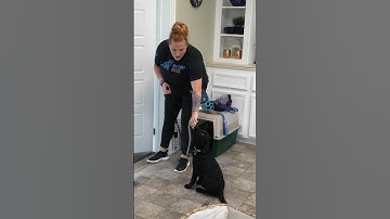 Do THIS Every Morning After You Feed Your Puppy!