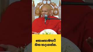 කොහොමහරි හිත හදාගන්න. #bana #religion #darmadeshana #banasinhala #welimadasaddhaseelathero #trending