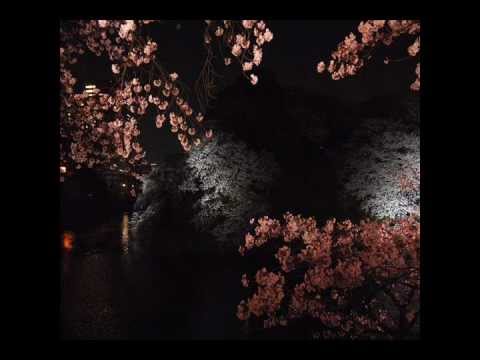 Silence　城　南海　cover by kei