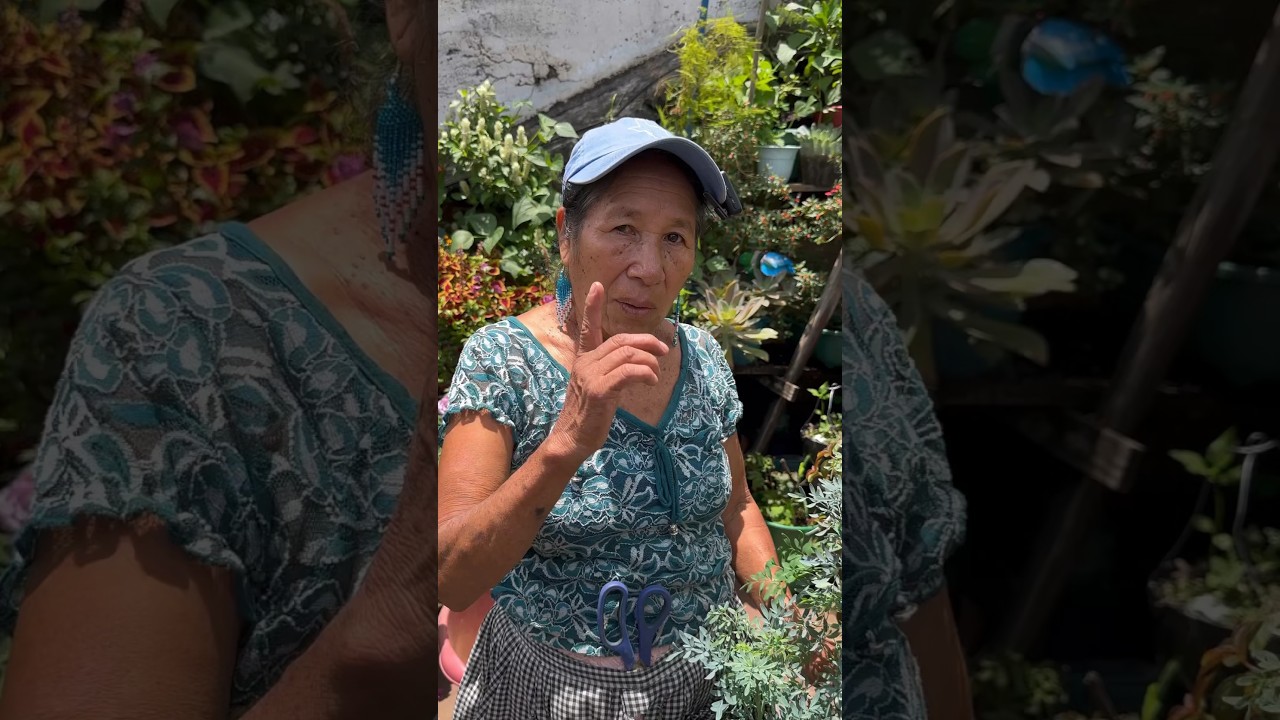 COMO REPRODUCIR LA RUDA 