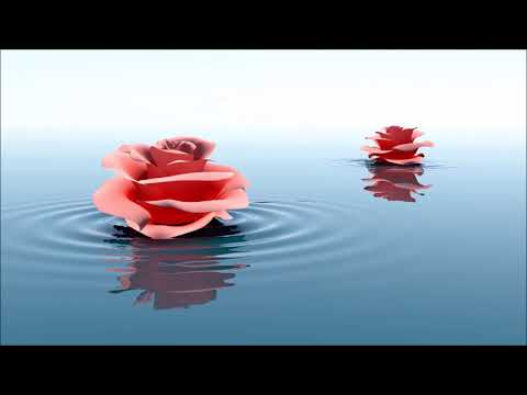 불후의 명곡 : 박재정 Parc Jae Jung - 일생을 Lifetime