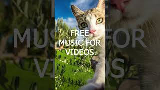 Youtube Audio Library | Free Music Download Youtube Audio Library 2023