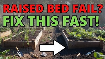 Your Raised Beds Are Failing Fix These 3 Mistakes Now