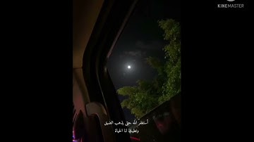 سورة المؤمنون الأية 106 #قرآن_كريم #دعاء #استغفار #راحة_نفسية