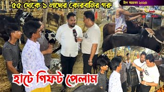 ৫৫ থেকে ১ লাখের কোরবানির গরু! হাটে গিফট পেলাম! গাবতলী হাট ২০২৪