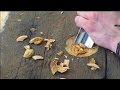 Carving a spoon from 100 year old pine