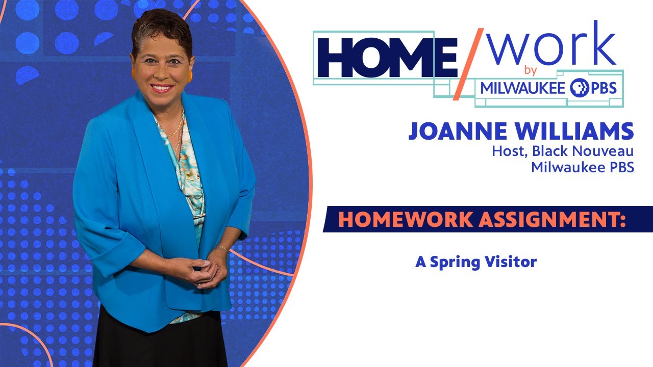 Home/Work Assignment Spring Visitor YouTube