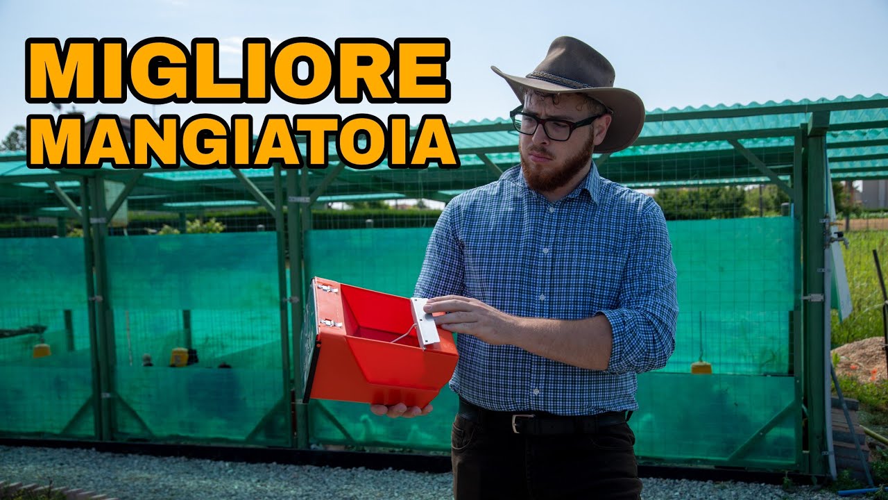 La MIGLIORE MANGIATOIA per i FAGIANI - test e recensione