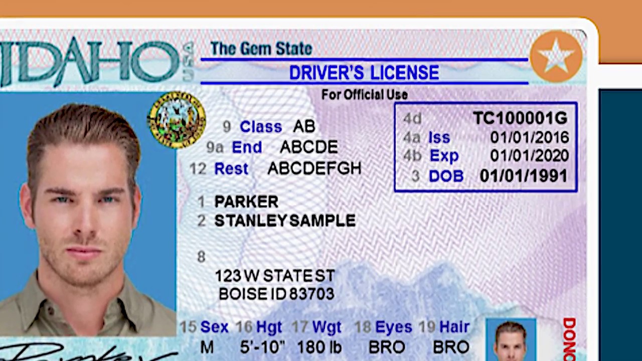 what does gold star on tx drivers license mean