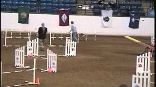 2011AKC-NatlAgility 00000.avi