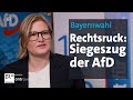 Siegeszug der afd rechtsruck mit folgen  kontrovers  br24