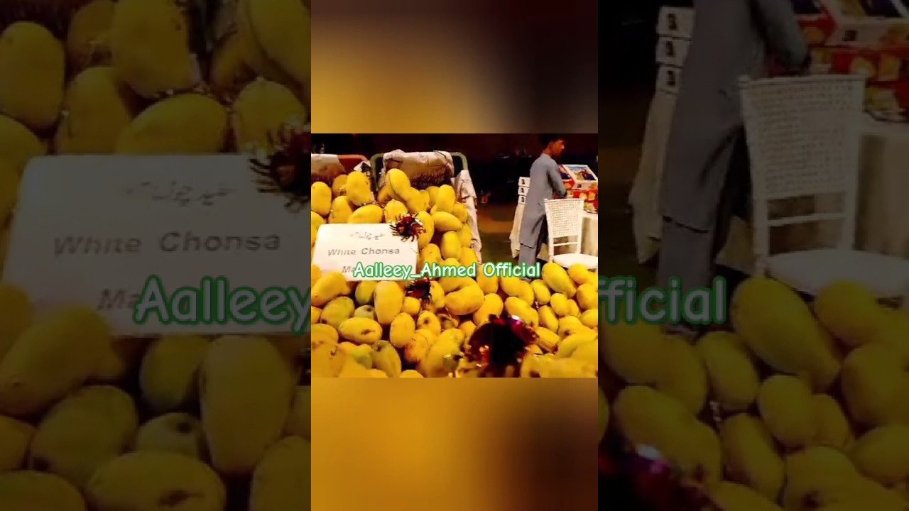 Pakistani Mangoes Variety | Mango Festival in Karachi 2024 | Mango City of Pakistan